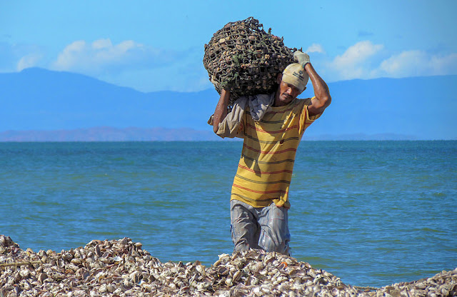 imagen isla de margarita v28infinito 