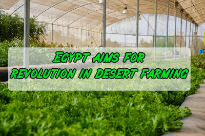 Egypt aims for revolution in desert farming