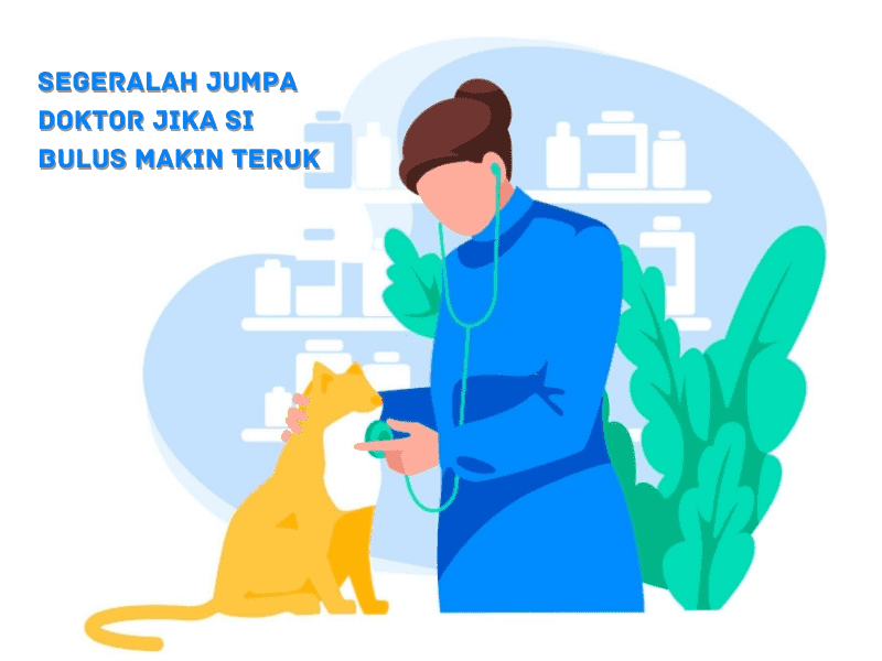 Ubat kucing selsema dan batuk terbaik yang berkesan shopee