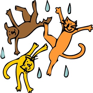 catsdogs