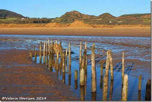 24-mersehead-beach