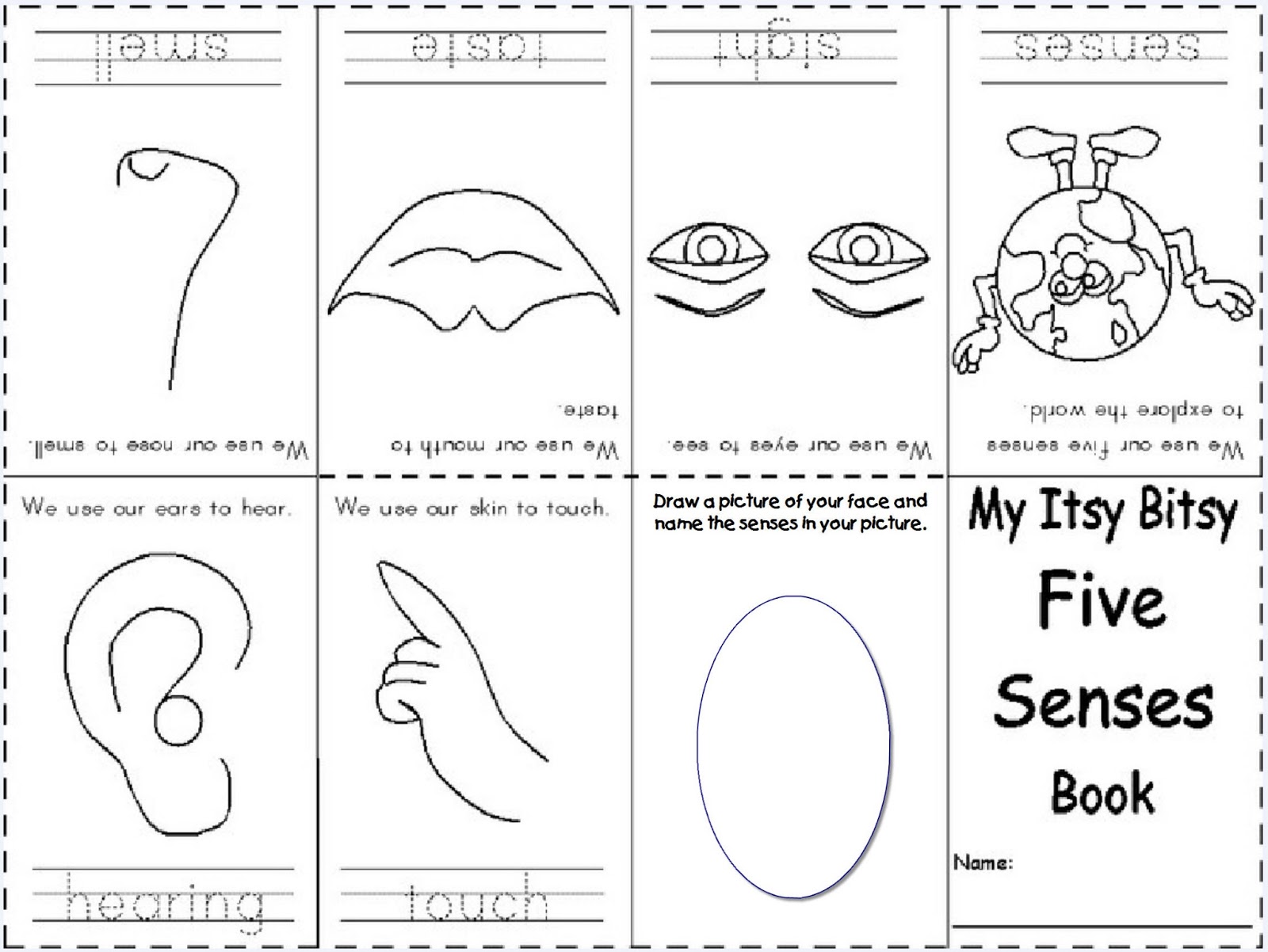 Unity School five  Arab Blog:  Grade worksheet 1   senses grade Senses Science  C  5 Worksheets  1