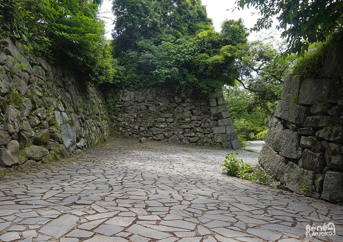 Château de Fukuoka, parc Maizuru