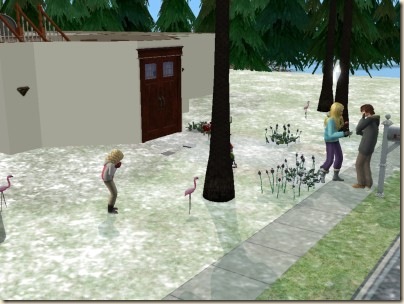 snapshot_d9e41dae_bc8b4a9f
