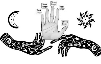 Facts About Shape Of Hands Palmistry