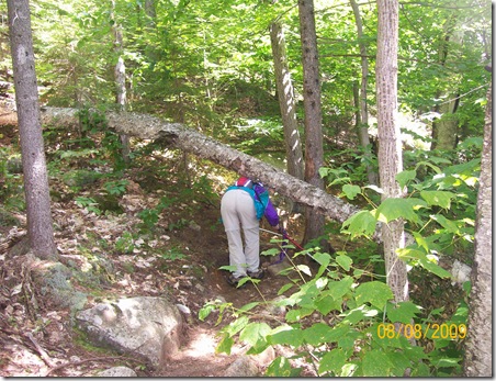 201_0010 - Copy (2)