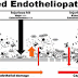 Wetenschappelijk onderzoek; Shock geinduceerd endotheliopathy (SHINE) in acuut kritieke ziekte - a unifying pathophysiologic mechanism