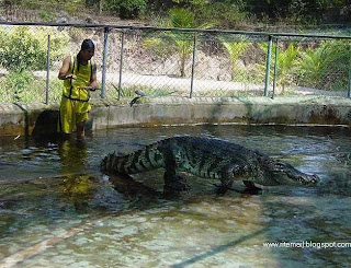 Crocodile Hunter [www.ritemail.blogspot.com]