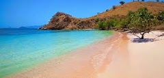 PINK BEACH, KOMODO ISLAND