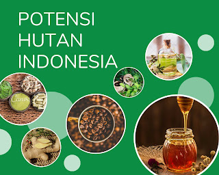 potensi alam hutan indonesia