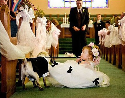 Dog Hijacks Wedding