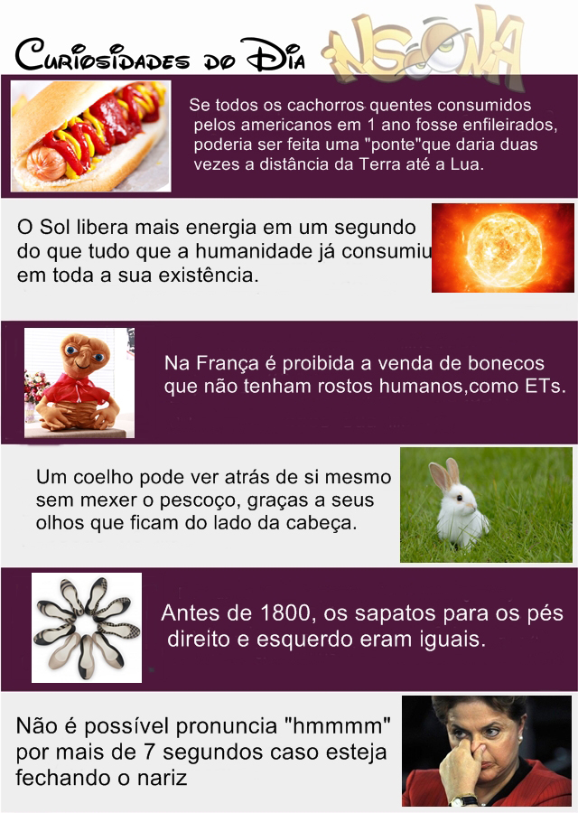 Curiosidades 