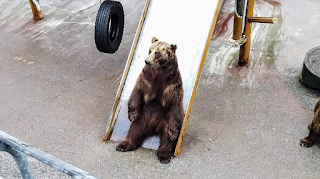 昭和新山クマ牧場・餌を待つクマ