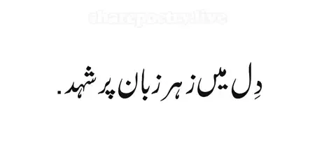 Urdu Muhavare, Kahawatain, Proverbs and Phrases Images