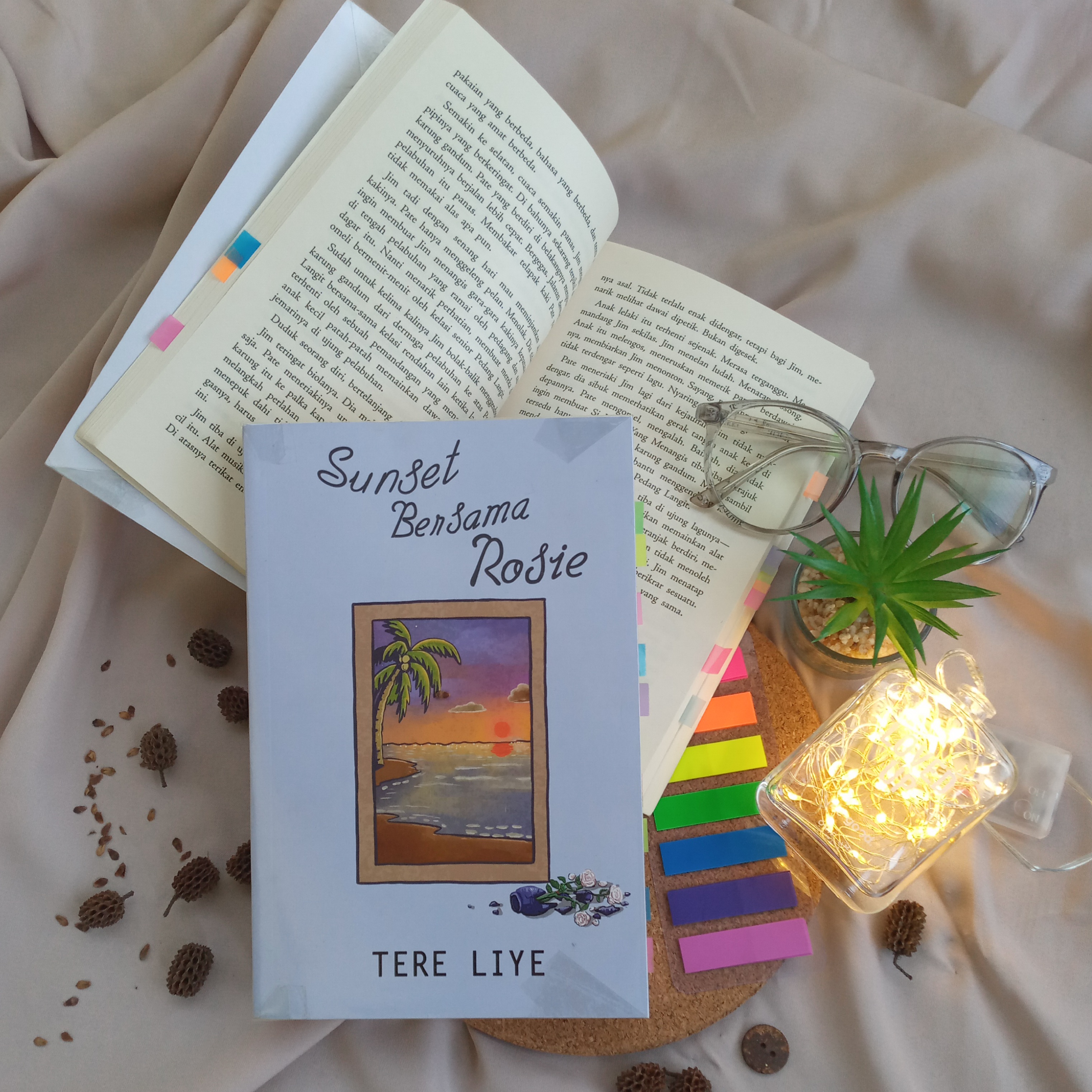 Review buku Novel "Sunset Bersama Rosie" karya Tere Liye Krasochnaya