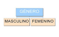 Resultado de imagen de el genero del sustantivo masculino y femenino