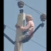 Không được lấy thêm vợ, ông lão 60 tuổi trèo lên cột điện cao thế đòi tự tử