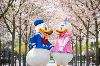 #DisneyMagicMoments, 米奇與好友 一起在 上海迪士尼 賞櫻, SHDL, Shanghai Disneyland, Mickey Mouse, Minnie Mouse, Donald Duck, Daisy Duck, Duffy, ShellieMay, Gelatoni, StellaLou, CookieAnn