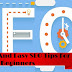 5 Quick And Easy SEO Tips For Beginners