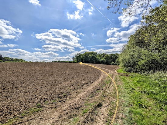 Head diagonally uphill towards a tree on the left (see yellow arrow)