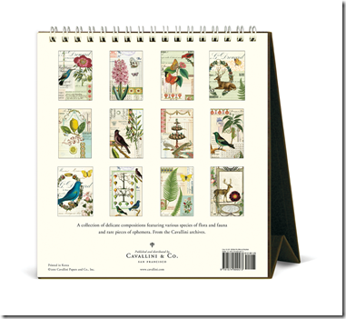 cavallinicalendar