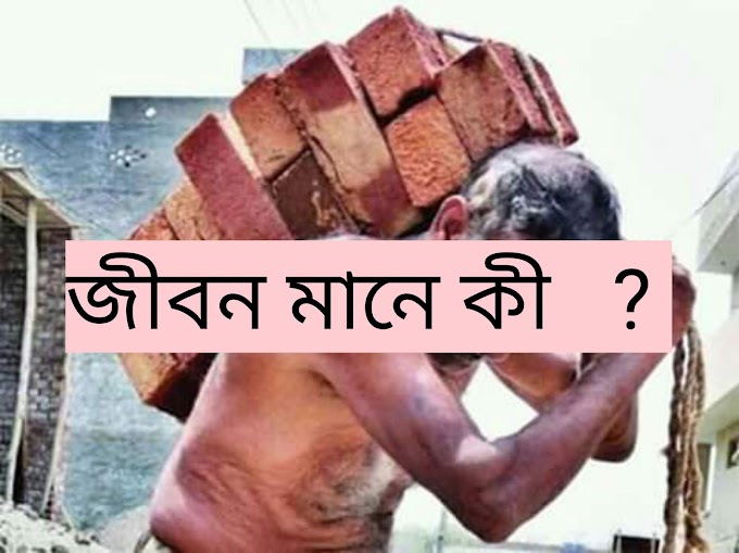 জীবন মানে কী ? 