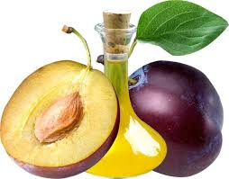 MANFAAT PLUM OIL UNTUK KECANTIKAN KULIT DAN RAMBUT