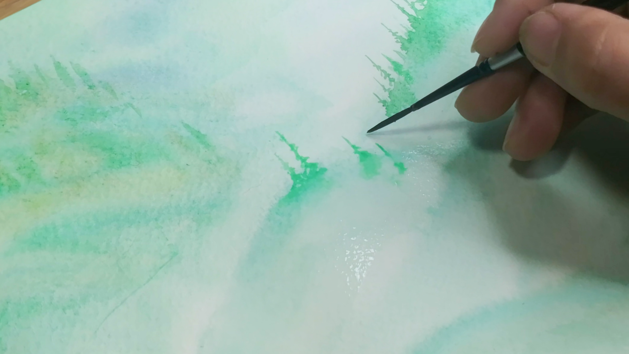 Watercolor pine tree forest tutorial, How to draw a forest, come to see my web online class