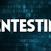 পেনটেস্টিং (Pentesting) কী?