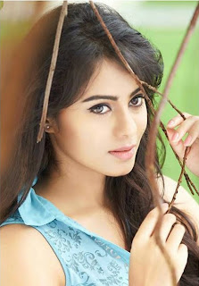 Actress Deepa Sannidhi Spicy Photos