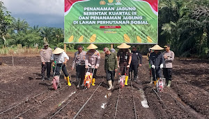  𝐓𝐚𝐧𝐚𝐦 𝐉𝐚𝐠𝐮𝐧𝐠 𝐒𝐞𝐫𝐞𝐧𝐭𝐚𝐤, 𝐏𝐞𝐦𝐤𝐚𝐛 𝐒𝐞𝐤𝐚𝐝𝐚𝐮 𝐀𝐣𝐚𝐤 𝐖𝐚𝐫𝐠𝐚 𝐁𝐚𝐧𝐠𝐮𝐧 𝐊𝐞𝐦𝐚𝐧𝐝𝐢𝐫𝐢𝐚𝐧 𝐏𝐚𝐧𝐠𝐚𝐧