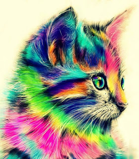 Ilustração de gatinho colorido Lindo gatinho ilustrado em cores