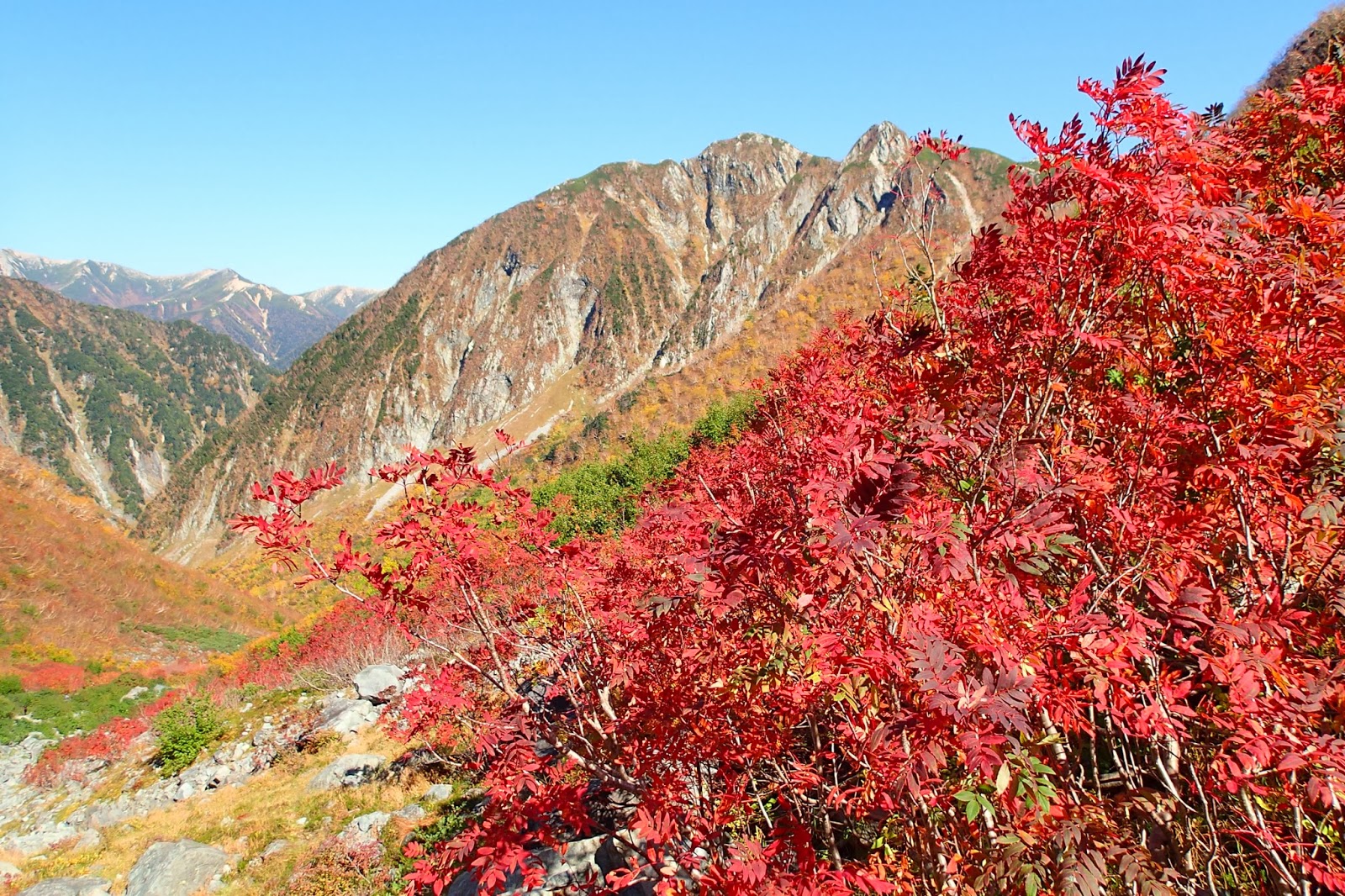 涸沢カールの紅葉は日本一