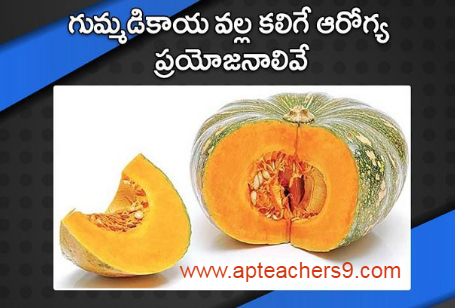 These are the health benefits of pumpkin గుమ్మడికాయ వల్ల కలిగే ఆరోగ్య ప్రయోజనాలివే 2022  pumpkin benefits side effects benefits of pumpkin soup is pumpkin good for digestion pumpkin benefits for skin benefits of green pumpkin is pumpkin good for weight loss pumpkin seeds benefits for female how to eat pumpkin benefits of sugarcane sexually sugarcane juice benefits for female sugarcane juice benefits and disadvantages benefits of sugarcane juice sugarcane juice is heat or cold for body benefits of sugarcane to woman sugarcane juice disadvantages benefits of sugarcane juice for weight loss side effects of tea on bones is green tea harmful for bones what kind of tea is good for osteoporosis is black tea good for bones tea and calcium absorption tea and osteoporosis is ginger tea good for osteoporosis green tea and calcium absorption spiritual benefits of walking barefoot 5 health benefits of walking barefoot benefits of walking barefoot on earth disadvantages of walking barefoot benefits of walking barefoot at home walking barefoot meaning benefits of walking barefoot on grass in the morning effects of walking barefoot on cold floor why hot food items should not be packed in polythene bags effects of eating high temperature food hot food in polythene bags 2 ways to never cool food hot food in plastic bags can cause cancer what happens if you drink hot and cold at the same time proper cooling methods for food what are three safe methods for cooling food? benefits of eating porridge everyday porridge benefits for skin benefits of eating porridge in the morning i ate oatmeal every morning for a month-here's what happened disadvantages of eating oats benefits of porridge for weight loss benefits of oats with milk benefits of eating porridge at night is taking a bath late at night dangerous bathing at night benefits taking a bath at night can cause anemia late night shower can cause death best time to bath at night advantages and disadvantages of taking a bath at night benefits of warm bath at night taking a bath at night is not good for your health brainly describe how we can keep ourselves fit and healthy simple health tips 10 tips for good health 100 health tips natural health tips health tips for adults health tips 2021 health tips of the day simple health tips for everyday living healthy tips simple health tips for students 100 simple health tips healthy lifestyle tips health tip of the week simple health tips for everyone simple health tips for everyday living 10 tips for a healthy lifestyle pdf 20 ways to stay healthy 5-minute health tips 100 health tips in hindi simple health tips for everyone 100 health tips pdf 100 health tips in tamil 5 tips to improve health natural health tips for weight loss natural health tips in hindi simple health tips for everyday living 100 health tips in hindi health in hindi daily health tips 10 tips for good health how to keep healthy body 20 health tips for 2021 health tips 2022 mental health tips 2021 heart health tips 2021 health and wellness tips 2021 health tips of the day for students fun health tips of the day mental health tips of the day healthy lifestyle tips for students health tips for women simple health tips 10 tips for good health 100 health tips healthy tips in hindi natural health tips health tips for students simple health tips for everyday living health tip of the week healthy tips for school students health tips for primary school students health tips for students pdf daily health tips for school students health tips for students during online classes mental health tips for students simple health tips for everyone health tips for covid-19 healthy lifestyle tips for students 10 tips for a healthy lifestyle healthy lifestyle facts healthy tips 10 tips for good health simple health tips health tips 2021 health tips natural health tips 100 health tips health tips for students simple health tips for everyday living 6 basic rules for good health 10 ways to keep your body healthy health tips for students simple health tips for everyone 5 steps to a healthy lifestyle maintaining a healthy lifestyle healthy lifestyle guidelines includes simple health tips for everyday living healthy lifestyle tips for students healthy lifestyle examples 10 ways to stay healthy 100 health tips 5 ways to stay healthy 10 ways to stay healthy and fit simple health tips simple health tips for everyday living health tips for students health tips in hindi beauty tips health tips for women health tips bangla health tips for young ladies 10 best health tips female reproductive health tips women's day health tips health tips in kannada women's health tips for heart, mind and body women's health tips for losing weight healthy woman body beauty tips at home beauty tips natural beauty tips for face beauty tips for girls beauty tips for skin beauty tips of the day top 10 beauty tips beauty tips hindi health tips for school students health tips for students during exams five ways of maintaining good health 10 ways to stay healthy at home ways to keep fit and healthy 6 tips to stay fit and healthy how to stay fit and healthy at home 20 ways to stay healthy ways to keep fit and healthy essay 5 ways to stay healthy essay 10 ways to stay healthy at home write five points to keep yourself healthy 5 ways to stay healthy during quarantine 10 tips for a healthy lifestyle healthy lifestyle essay unhealthy lifestyle examples 5 steps to a healthy lifestyle healthy lifestyle article for students talk about healthy lifestyle healthy lifestyle benefits healthy lifestyle for students in school healthy tips for school students importance of healthy lifestyle for students health tips for students during online classes health tips for students pdf health and wellness for students healthy lifestyle for students essay healthy lifestyle article for students 10 ways to stay healthy and fit ways to keep fit and healthy essay 6 tips to stay fit and healthy how to stay fit and healthy at home what are the best ways for students to stay fit and healthy how to keep body fit and strong on the basis of the picture given below,  how to be fit in 1 week write 10 rules for good health golden rules for good health health rules most important things you can do for your health how to keep your body healthy and strong five ways of maintaining good health mental health tips 2022 top 10 tips to maintain your mental health mental health tips for students self-care tips for mental health mental health 2022 fun activities to improve mental health 10 ways to prevent mental illness how to be mentally healthy and happy world heart day theme 2021 world heart day 2021 health tips news world heart day wikipedia world heart day 2020 world heart day pictures world heart day theme 2020 happy heart day 5 ways to prevent covid-19 best food for covid-19 recovery 10 ways to prevent covid-19 covid-19 health and safety protocols precautions to be taken for covid-19 covid-19 diet plan pdf safety measures after covid-19 precautions for covid-19 patient at home how to keep reproductive system healthy 10 ways in keeping the reproductive organs clean and healthy why is it important to keep your reproductive system healthy how to take care of your reproductive system male what are the proper ways of taking care of the female reproductive organs male ways of taking care of reproductive system ppt taking care of reproductive system grade 5 prevention of reproductive system diseases proper ways of taking care of the reproductive organs ways of taking care of reproductive system ppt how to take care of reproductive system male what are the proper ways of taking care of the female reproductive organs care of male and female reproductive organs? why is it important to take care of the reproductive organs the following are health habits to keep the reproductive organs healthy which one is care of male and female reproductive organs? what are the proper ways of taking care of the female reproductive organs ways of taking care of reproductive system ppt ways to take care of your reproductive system why is it important to take care of the reproductive organs taking care of reproductive system grade 5 how to take care of your reproductive system poster what are the proper ways of taking care of the female reproductive organs taking care of reproductive system grade 5 what are the proper ways of taking care of the male reproductive organs care of male and female reproductive organs? female reproductive system - ppt presentation female reproductive system ppt pdf reproductive system ppt anatomy and physiology reproductive system ppt grade 5 talk about healthy lifestyle cue card importance of healthy lifestyle importance of healthy lifestyle speech what is healthy lifestyle essay healthy lifestyle habits my healthy lifestyle healthy lifestyle essay 100 words healthy lifestyle short essay healthy lifestyle essay 150 words healthy lifestyle essay pdf benefits of a healthy lifestyle essay healthy lifestyle essay 500 words healthy lifestyle essay 250 words  precautions to be taken during winter season precautions to be taken for cold cold weather precautions for home how to stay healthy during winter season how to protect your body in winter season what things should we keep in mind to stay healthy in the winter  safety tips for winter season in india how to take care of yourself during winter seasonal diseases list seasonal diseases in india seasonal diseases and precautions seasonal diseases in telugu seasonal diseases in india pdf seasonal diseases pdf 4 seasonal diseases rainy season diseases and prevention 10 things not to do after eating i ate too much and now i want to vomit how to ease your stomach after eating too much how to digest faster after a heavy meal what to do after overeating at night how to detox after eating too much i ate too much today will i gain weight i don't feel good after i eat calcium fruits for bones fruits for bone strength how to increase bone strength naturally bone strengthening foods how to increase bone calcium best fruit juice for bones calcium-rich foods for bones vitamins for strong bones and joints black pepper uses and benefits how much black pepper per day benefits of eating black pepper empty stomach black pepper with hot water benefits side effects of black pepper benefits of black pepper and honey pepper benefits turmeric with black pepper benefits how to protect eyes from mobile screen naturally how to protect eyes from mobile screen during online classes glasses to protect eyes from mobile screen how to protect eyes from mobile and computer 5 ways to protect your eyes best eye protection mobile phone glasses to protect eyes from mobile screen flipkart how to protect eyes from computer screen can you die from eating too many almonds how many is too many almonds i eat 100 almonds a day symptoms of eating too many almonds almond skin dangers how many almonds should i eat a day why are roasted almonds bad for you how many almonds to eat per day for good skin amla for skin whitening amla for skin pigmentation how to use amla for skin can i apply amla juice on face overnight how to use amla powder for skin whitening amla face pack for pigmentation how to make amla juice for skin best amla juice for skin best n95 mask for covid n95 mask with filter n95 mask reusable best mask for covid where to buy n95 mask n95 mask price 3m n95 mask kn95 vs n95 how many dates to eat per day dates benefits sexually dates benefits for sperm benefits of dates for men benefits of khajoor for skin dates benefits for skin is dates good for cold and cough benefits of dates for womens how to cook mulberry leaves mulberry benefits mulberry leaves benefits for hair mulberry benefits for skin when to harvest mulberry leaves mulberry leaf extract benefits mulberry leaf tea benefits mulberry fruit side effects are recovered persons with persistent positive test of covid-19 infectious to others? if someone in your house has covid will you get it do i still need to quarantine for 14 days if i was around someone who has covid-19? how long will you test positive for covid after recovery what do i do if i’ve been exposed to someone who tested positive for covid-19? how long does coronavirus last in your system how long should i stay in home isolation if i have the coronavirus disease? positive covid test after recovery how to make coriander water can we drink coriander water at night how to make coriander water for weight loss coriander seed water side effects how to make coriander seeds water how to make coriander seeds water for thyroid coriander water for thyroid coriander leaves boiled water benefits 10 points on harmful effects of plastic 5 harmful effects of plastic harmful effects of plastic on environment harmful effects of plastic on environment in points how is plastic harmful to humans harmful effects of plastic on environment pdf single-use plastic effects on environment brinjal benefits and side effects disadvantages of brinjal brinjal benefits for skin brinjal benefits ayurveda brinjal benefits for diabetes uses of brinjal green brinjal benefits brinjal vitamins 10 ways to keep your heart healthy 5 ways to keep your heart healthy 13 rules for a healthy heart 20 ways to keep your heart healthy how to keep heart-healthy and strong heart-healthy foods heart-healthy lifestyle healthy heart symptoms daily massage with mustard oil mustard oil disadvantages benefits of mustard oil for skin why mustard oil is not banned in india benefits of mustard oil massage on feet benefits of mustard oil in cooking mustard oil massage benefits mustard oil benefits for brain side effects of mint leaves lungs cleaning treatment benefits of drinking mint water in morning mint leaves steam for face lungs cleaning treatment for smokers benefits of mint leaves how to use ginger for lungs how to clean lungs in 3 days Carrot juice benefits in telugu 17 benefits of mustard seed 5 uses of mustard 10 uses of mustard how much mustard should i eat a day mustard seeds side effects benefits of chewing mustard seed dijon mustard health benefits is mustard good for your stomach Benefits of Vaseline on face Vaseline on face overnight before and after Vaseline petroleum jelly for skin whitening 100 uses for Vaseline Does Blue Seal Vaseline lighten the skin Vaseline uses for skin 19 unusual uses for Vaseline Effect of petroleum jelly on lips barley pests and diseases how to use barley for diabetes diseases of barley ppt how to use barley powder barley benefits and side effects barley disease control barley diseases integrated pest management of barley how to sleep better at night naturally good sleep habits food for good sleep tips on how to sleep through the night how to get a good night sleep and wake up refreshed how to sleep fast in 5 minutes how to sleep through the night without waking up how to sleep peacefully without thinking how to use turmeric to boost immune system turmeric immune booster recipe turmeric immune booster shot raw turmeric vs powder 10 serious side effects of turmeric raw turmeric powder best time to eat raw turmeric raw turmeric benefits for liver best antibiotic for cough and cold name of antibiotics for cough and cold best medicine for cold and cough best antibiotic for cold and cough for child best tablet for cough and cold in india best cold medicine for runny nose cold and cough medicine for adults best cold and flu medicine for adults moringa leaf powder benefits what happens when you drink moringa everyday? side effects of moringa list of 300 diseases moringa cures pdf how to use moringa leaves what sickness can moringa cure how long does it take for moringa to start working can moringa cure chest pain how to use aloe vera to lose weight rubbing aloe vera on stomach how to prepare aloe vera juice for weight loss best time to drink aloe vera juice for weight loss how to use forever aloe vera gel for weight loss aloe vera juice weight loss stories how much aloe vera juice to drink daily for weight loss benefits of eating oranges everyday benefits of eating oranges for skin benefits of eating orange at night orange benefits and side effects benefits of eating orange in empty stomach orange benefits for men how many oranges a day to lose weight how many oranges should i eat a day is orthostatic hypotension dangerous orthostatic hypotension symptoms causes of orthostatic hypotension orthostatic hypotension in 20s orthostatic hypotension treatment orthostatic hypotension test how to prevent orthostatic hypotension orthostatic hypotension treatment in elderly what will happen if we drink dirty water for class 1 what are the diseases associated with water? which water is safe for drinking dangers of tap water 5 dangers of drinking bad water what happens if you drink contaminated water what to do if you drink contaminated water 5 ways to make water safe for drinking how long before bed should you turn off electronics side effects of using phone at night does screen time affect sleep in adults sleeping with phone near head why you shouldn't use your phone before bed screen time before bed research adults screen time doesn't affect sleep using phone at night bad for eyes how many tulsi leaves should be eaten in a day how to cure high blood pressure in 3 minutes tulsi leaves side effects tricks to lower blood pressure instantly what happens if we eat tulsi leaves daily high blood pressure foods to avoid what to drink to lower blood pressure quickly how to consume tulsi leaves why am i sleeping too much all of a sudden i sleep 12 hours a day what is wrong with me oversleeping symptoms causes of oversleeping how to recover from sleeping too much oversleeping effects is 9 hours of sleep too much why am i suddenly sleeping for 10 hours side effects of eating raw curry leaves how many curry leaves to eat per day benefits of curry leaves for hair curry leaves health benefits benefits of curry leaves boiled water curry leaves benefits and side effects how to eat curry leaves curry leaves benefits for uterus side effects of drinking cold water symptoms of drinking too much water does drinking cold water cause cold drinking cold water in the morning on an empty stomach does drinking cold water increase weight disadvantages of drinking cold water in the morning is drinking cold water bad for your heart effect of cold water on bones food for strong bones and muscles indian food for strong bones and muscles list five foods you can eat to build strong, healthy bones. medicine for strong bones and joints 2 factors that keep bones healthy Top 10 health benefits of dates Health benefits of dates Dry dates benefits for male Soaked dates benefits Dry dates benefits for female silver water benefits how much colloidal silver to purify water silver in water purification silver in drinking water health benefit of drinking hard water what is silver water silver ion water purifier colloidal silver poisoning how i cured my lower back pain at home how to relieve back pain fast how to cure back pain fast at home back pain home remedies drink how to cure upper back pain fast at home female lower back pain treatment what is the best medicine for lower back pain? one stretch to relieve back pain side effects of drinking salt water why is drinking salt water harmful benefits of drinking warm water with salt in the morning benefits of drinking salt water salt water flush didn't make me poop himalayan salt detox side effects when to eat after salt water flush 10 uses of salt water side effects of carbonated drinks harmful effects of soft drinks wikipedia disadvantages of soft drinks in points drinking too much pepsi symptoms drinking too much coke side effects effects of carbonated drinks on the body side effects of drinking coca-cola everyday harmful effects of soft drinks on human body pdf what happens if you don't breastfeed your baby baby feeding mother milk breastfeeding mother 14 risks of formula feeding is bottle feeding safe for newborn baby negative effects of formula feeding are formula-fed babies healthy breastfeeding vs bottle feeding breast milk what is the best cream for deep wrinkles around the mouth best anti aging cream 2021 scientifically proven anti aging products best anti aging cream for 40s what is the best wrinkle cream on the market? best anti aging cream for 30s best treatment for wrinkles on face best anti aging skin care products for 50s carbonated soft drinks market demand for soft drinks trends in carbonated soft drink industry carbonated soft drink market in india cold drink sales statistics soft drink sales 2021 soda industry market share of soft drinks in india 2021 how much tomato to eat per day 10 benefits of tomato eating tomato everyday benefits benefits of eating raw tomatoes in the morning disadvantages of eating tomatoes why are tomatoes bad for your gut eating tomato everyday for skin disadvantages of eating raw tomatoes green peas benefits for skin green peas benefits for weight loss green peas side effects green peas benefits for hair benefits of peas and carrots green peas calories green peas protein per 100g dry peas benefits benefits of walnuts for females benefits of walnuts for skin benefits of walnuts for male 15 proven health benefits of walnuts benefits of almonds how many walnuts to eat per day walnut benefits for sperm soaked walnuts benefits 5 health benefits of walking barefoot spiritual benefits of walking barefoot dangers of walking barefoot benefits of walking barefoot at home disadvantages of walking barefoot is walking barefoot at home bad benefits of walking barefoot on grass in the morning walking barefoot meaning how to cure asthma forever how to prevent asthma how to prevent asthma attacks at night asthma prevention diet what causes asthma how to stop asthmatic cough what is the best treatment for asthma how to avoid asthma triggers at home amaranth leaves side effects thotakura juice benefits thotakura benefits in telugu amaranth benefits amaranth benefits for skin amaranth benefits for hair red amaranth leaves side effects amaranth leaves iron content skin diseases list with pictures 5 ways of preventing skin diseases 10 skin diseases blood test for hair loss female symptoms of skin diseases common skin diseases hair loss after covid treatment and vitamins what do dermatologists prescribe for hair loss pomegranate benefits for female benefits of pomegranate for skin benefits of pomegranate seeds pomegranate benefits for men benefits of pomegranate juice how much pomegranate juice per day pomegranate juice side effects benefits of pomegranate leaves disadvantages of jaggery 33 health benefits of jaggery how much jaggery to eat everyday benefits of jaggery water vitamins in jaggery dark brown jaggery benefits jaggery benefits for sperm jaggery benefits for male