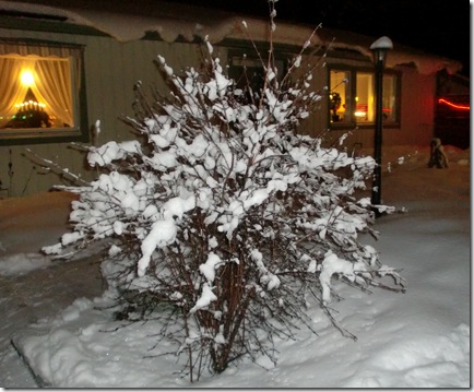 December 2011. 087