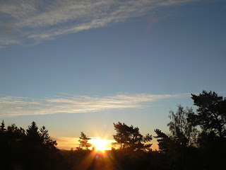 sunrise behind the trees