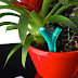 Parrot Flower Power, un Gadget con Vocación de Jardinero  [CES 2013]