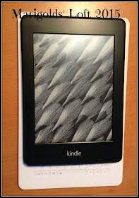 Kindle Paperwhite vs iRiver