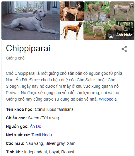 Chippiparai