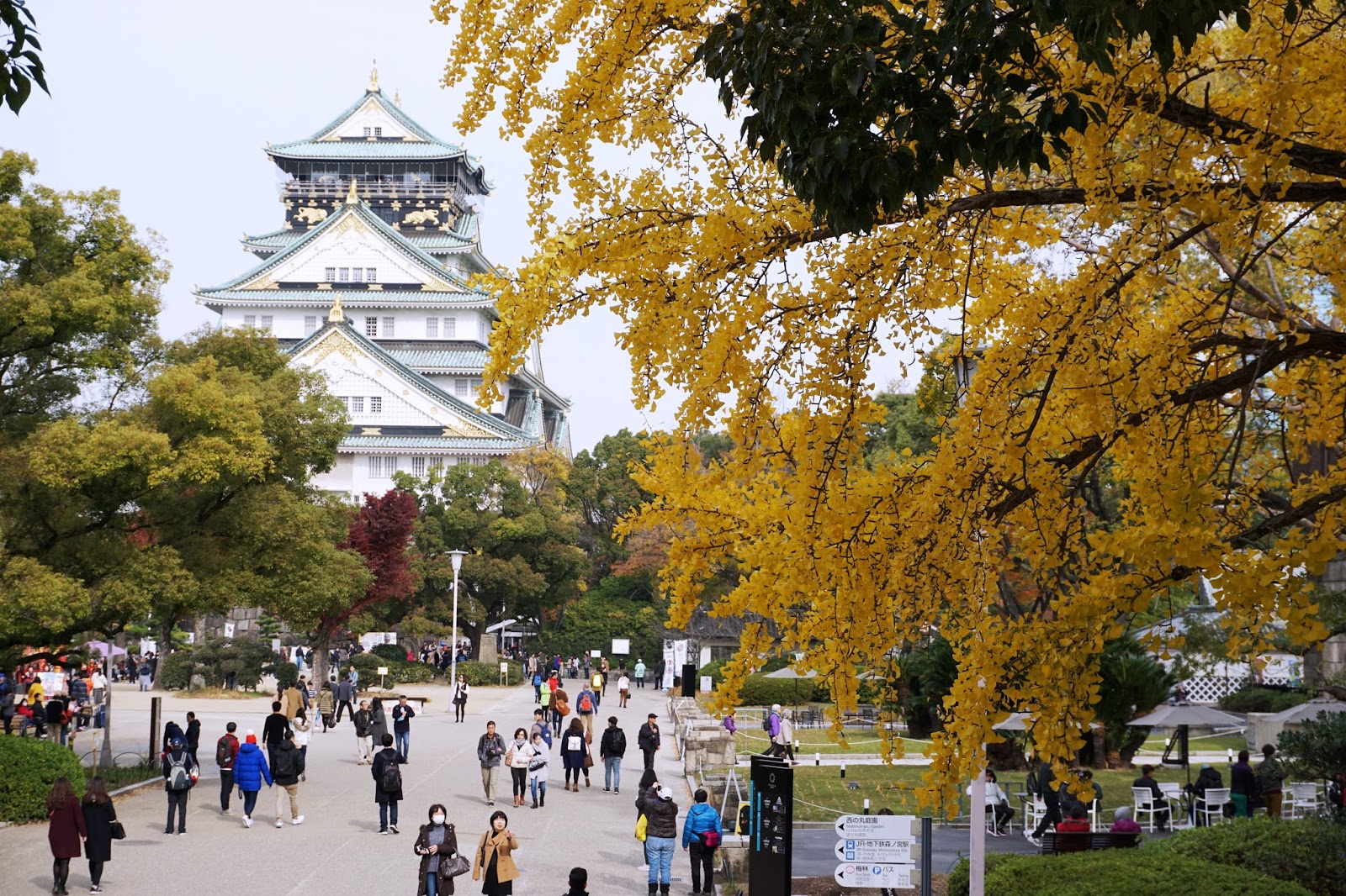 Where Is Fatboy Osaka Autumn Foliage At Osaka Castle Park