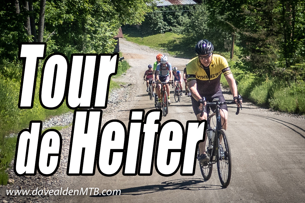 Tour de Heifer, Brattleboro, Vermont