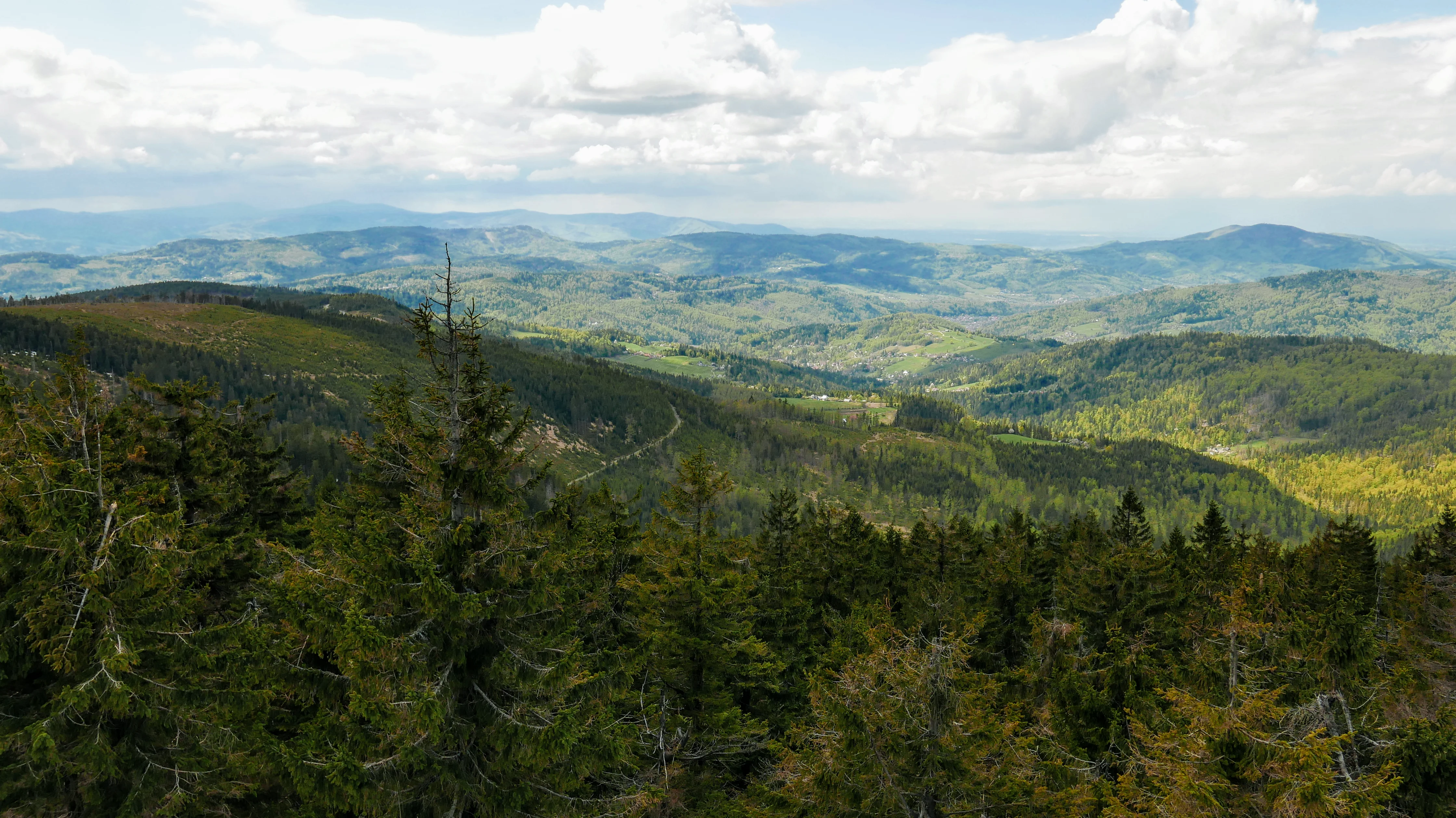 Beskid Śląski, Wisła: Barania Góra 1220 m n.p.m.  - wieża widokowa - panorama