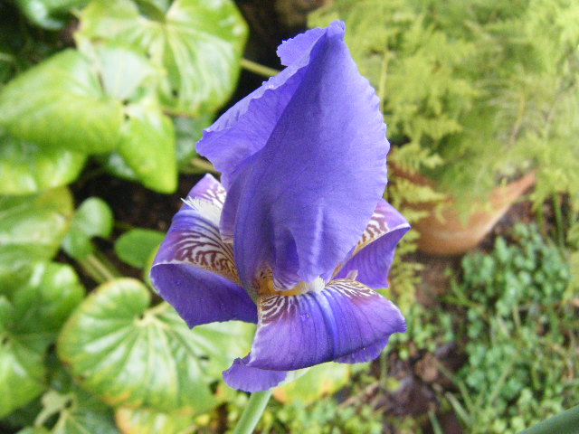 2009_04190002.JPG