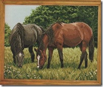 caballos-pastando