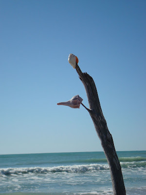 Don Pedro Island, Florida