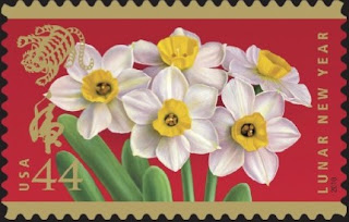 Narcissus Chinese New Year Card