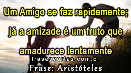 amizade frases bonitas