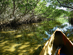 nigel foster, view from a canoe of reflections, water and the bottom