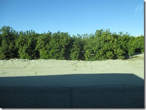 IMG_2616