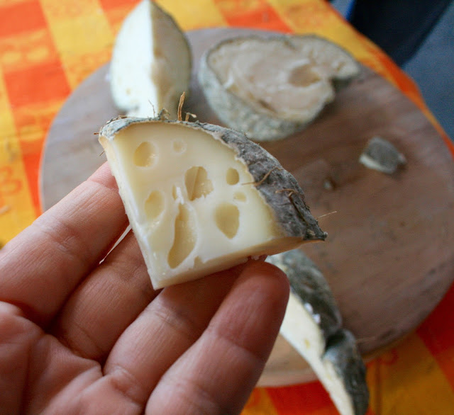 Gerarchico cheese made by Caseificio La Teresina